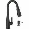 Moen Haelyn Single-Handle Pull-Down Kitchen Faucet ColorCue Temperature, Matte Black