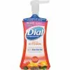 Dial® Dial Complete 7.5 Oz. Citrus Sunburst Kitchen Foaming Hand Wash